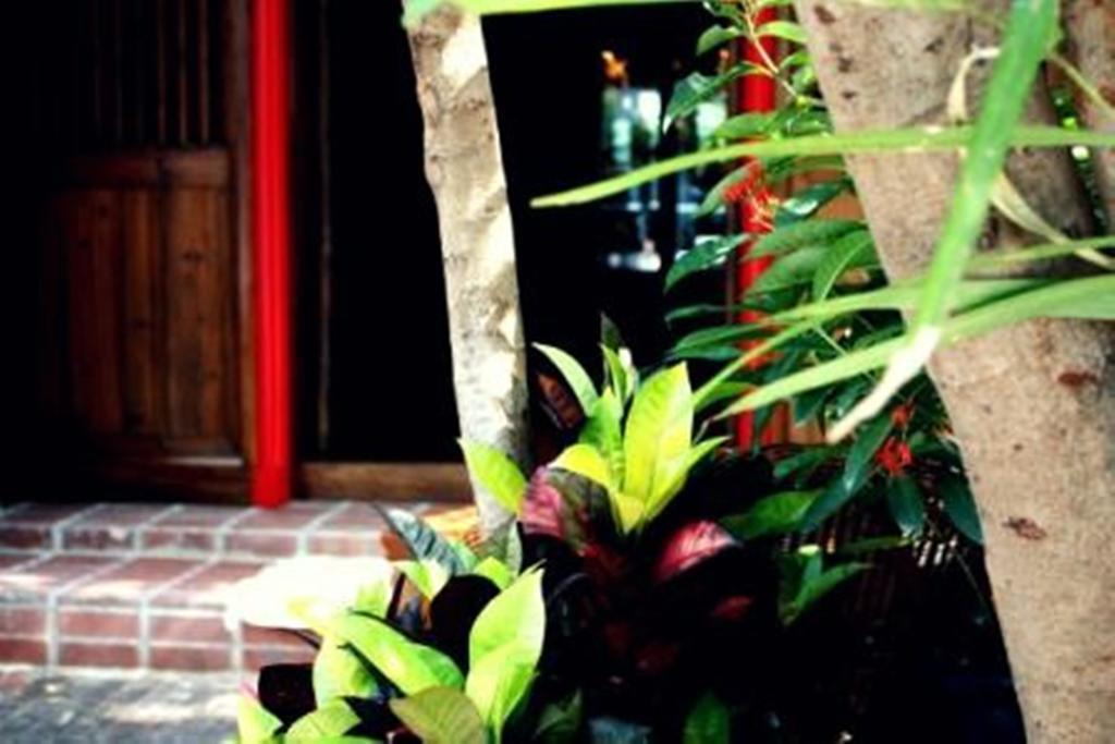 Rainforest Bed & Breakfast Kuala Lumpur Bagian luar foto