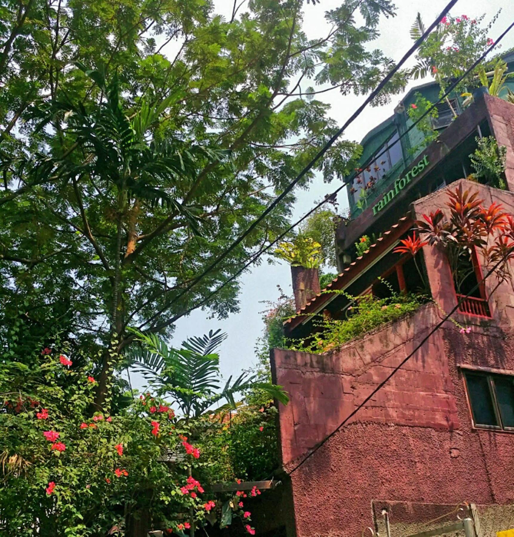 Rainforest Bed & Breakfast Kuala Lumpur Bagian luar foto
