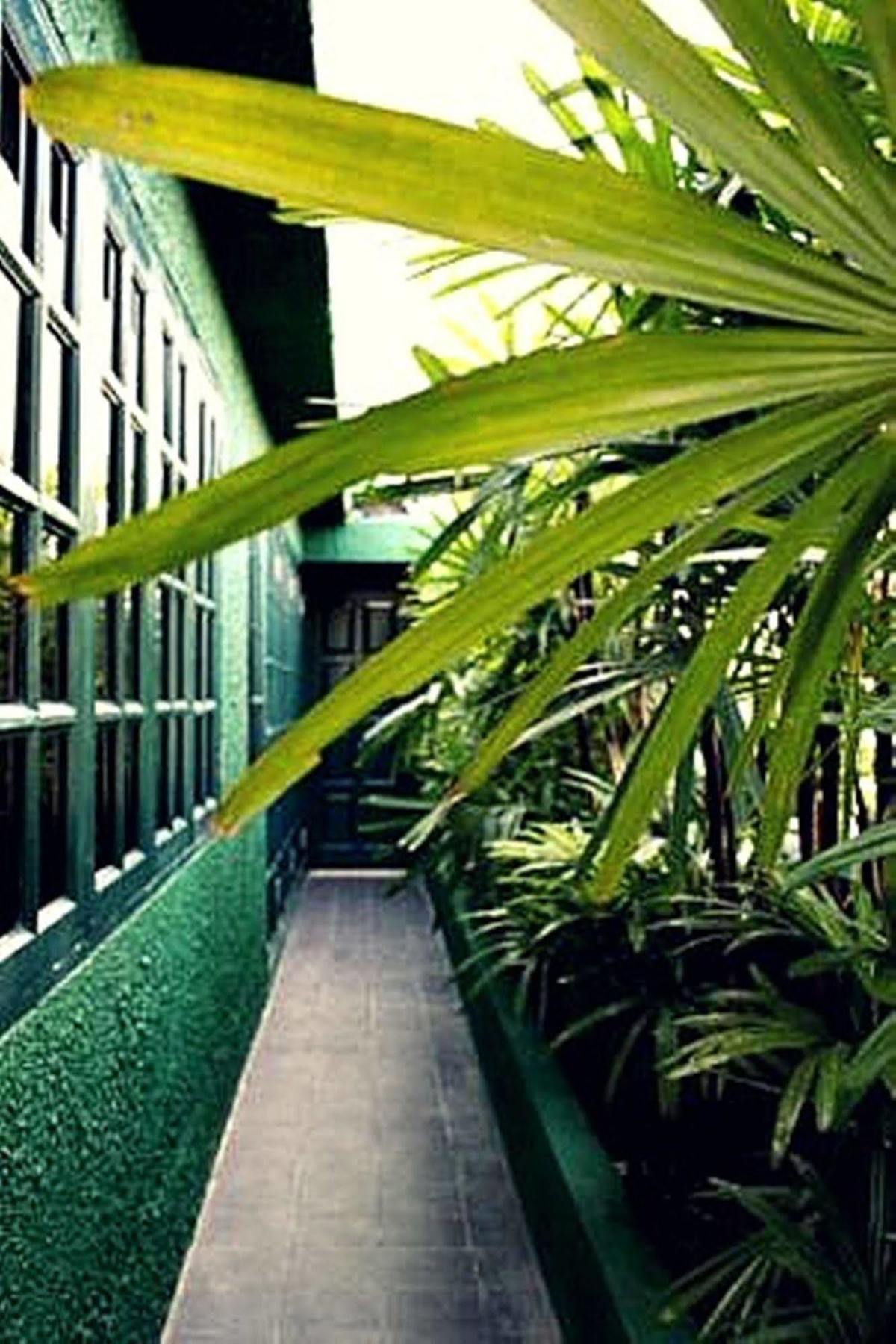 Rainforest Bed & Breakfast Kuala Lumpur Bagian luar foto